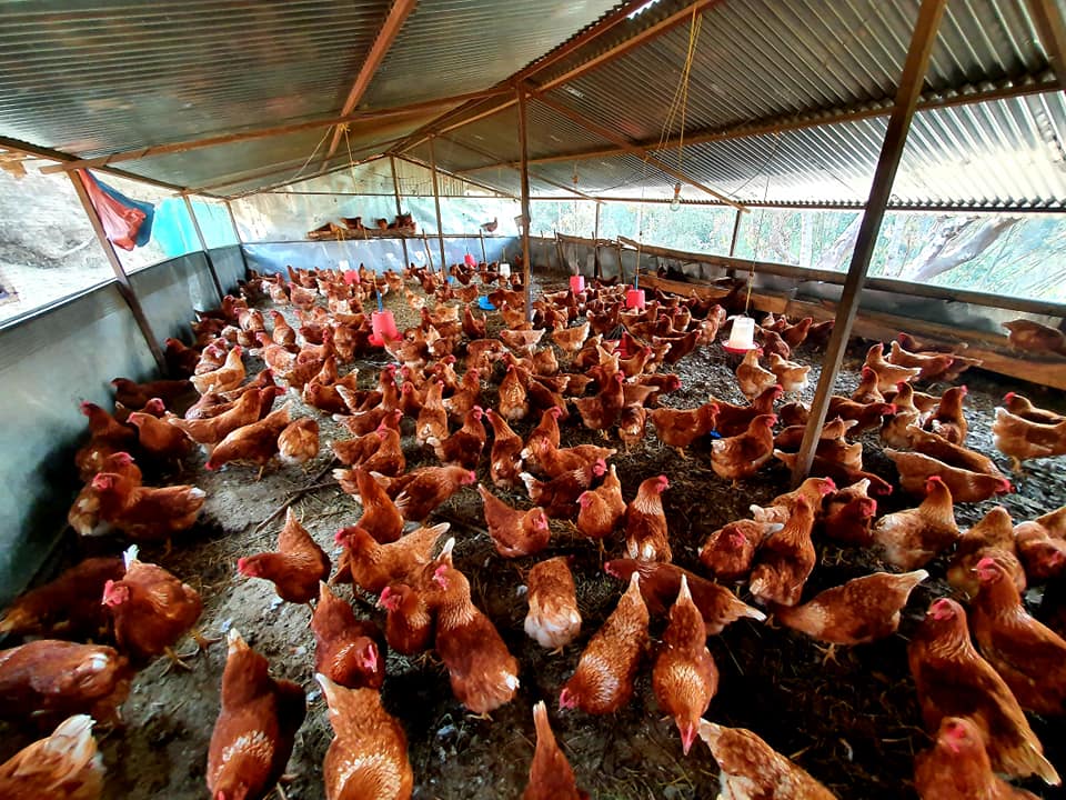 179112498_104774008432767_8078530058841618139_n (1)