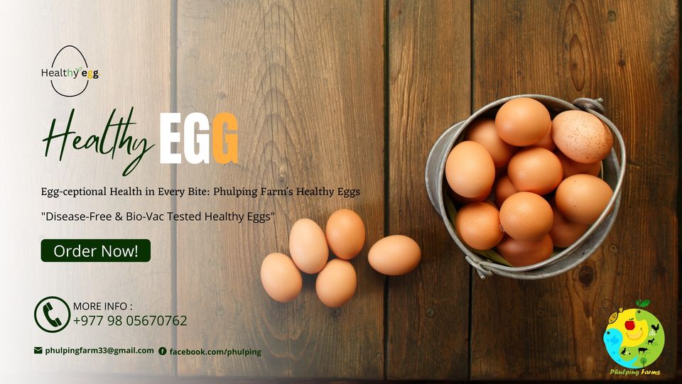 326127972_1555246341639398_4074282787665047391_n