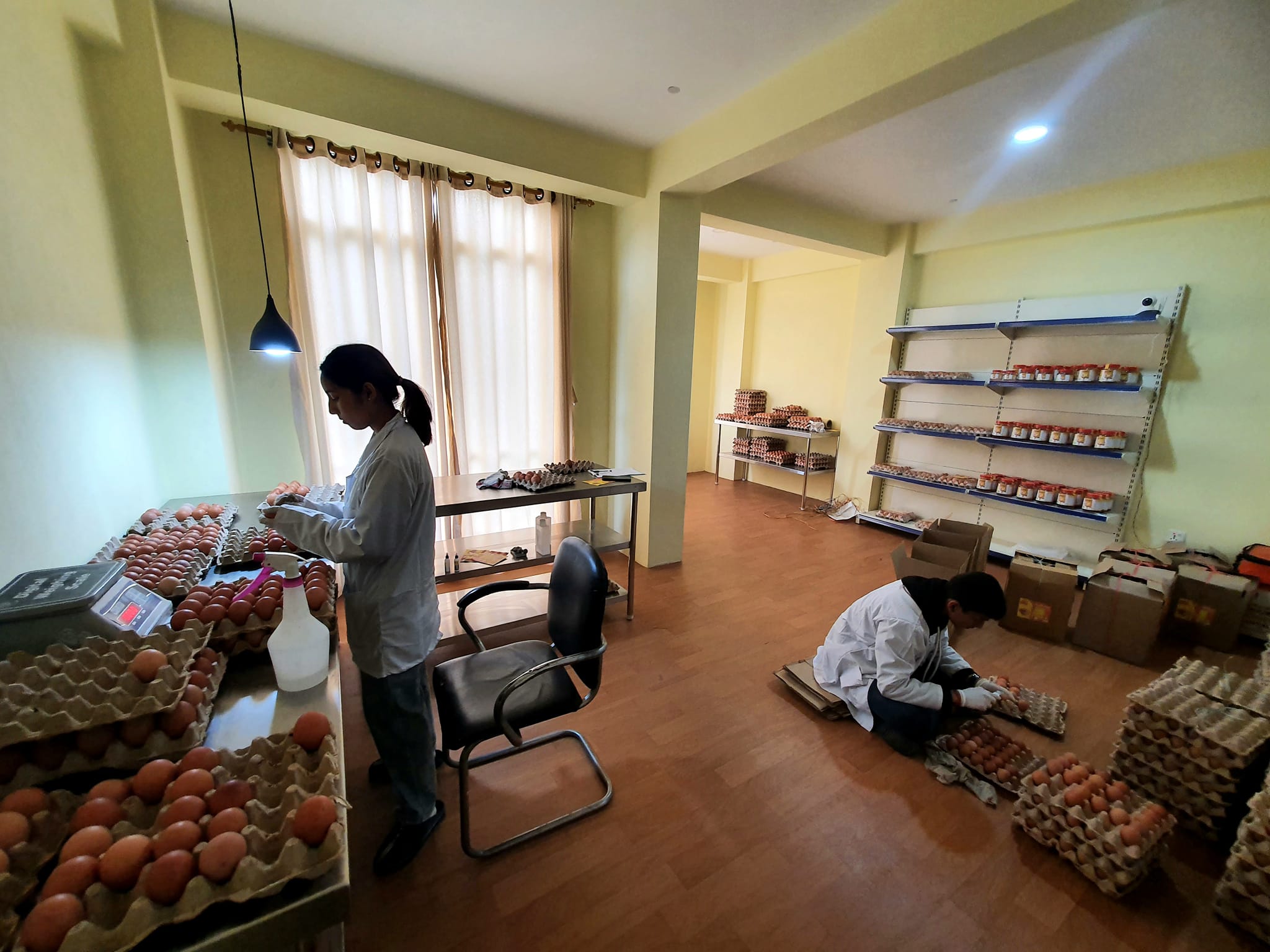 344817825_791448102336725_4320964950144762498_n (1)